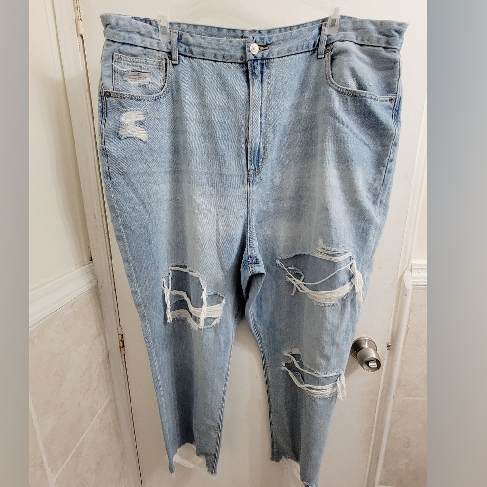 American Eagle plus size jeans